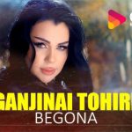 Ганчинаи Тохири - Бегона