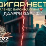 Далери Зарифи - Дигар нест