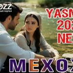 Ясмина - Зи чони ман чи мехохи